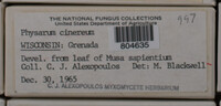 Image Associated With the Occurence